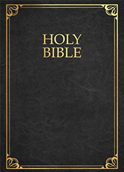 The Holy Bible